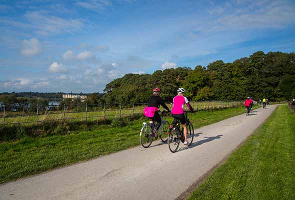 Cycling in Killarney national Park