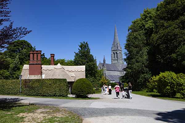 Killarney's Cathedral