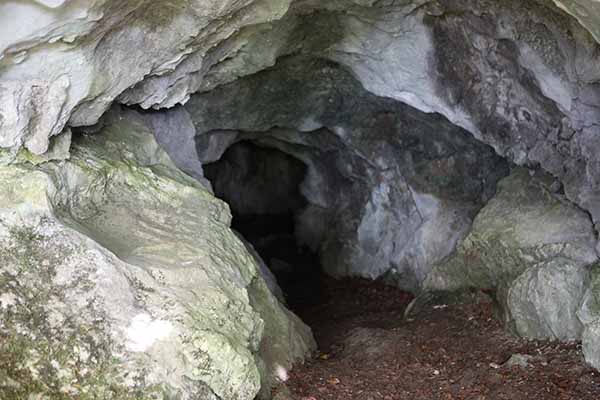Cave at Muckross