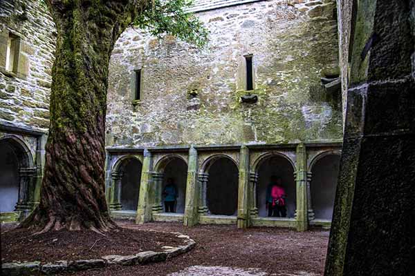 Muckross Abbey Kerry