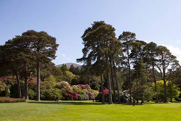 Muckross gardens